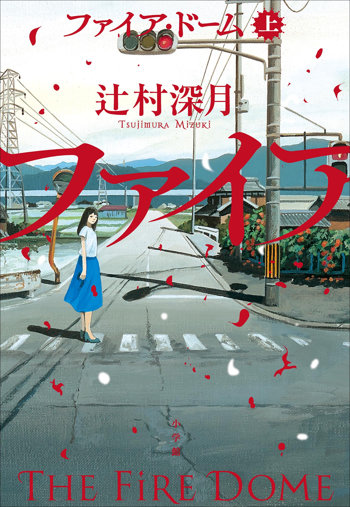 辻村深月 16冊セット ハードカバー Amazon.co.jp: 辻村 深月: 本、バイオグラフィー、最新アップデート
